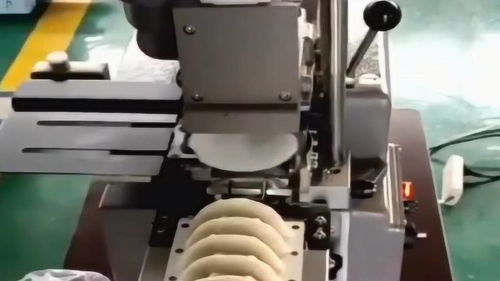 爸爸癱瘓?jiān)诩?媽媽在食品廠上班,每天加工無數(shù)餃子